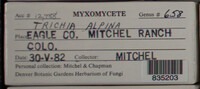 Image Associated With the Occurence